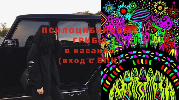 гидропоника Богданович
