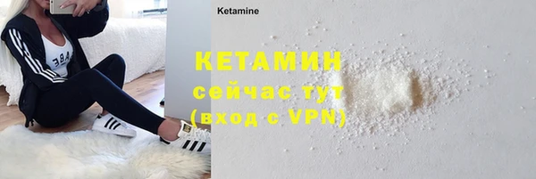 стаф Богородицк