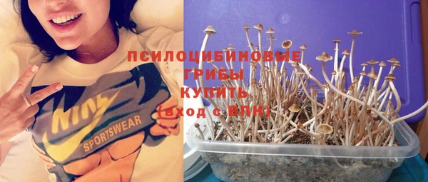 гидропоника Богданович