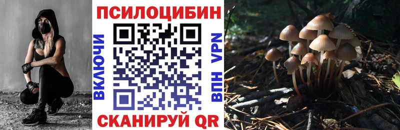 Псилоцибиновые грибы GOLDEN TEACHER  как найти наркотики  ОМГ ОМГ ТОР  Давлеканово 